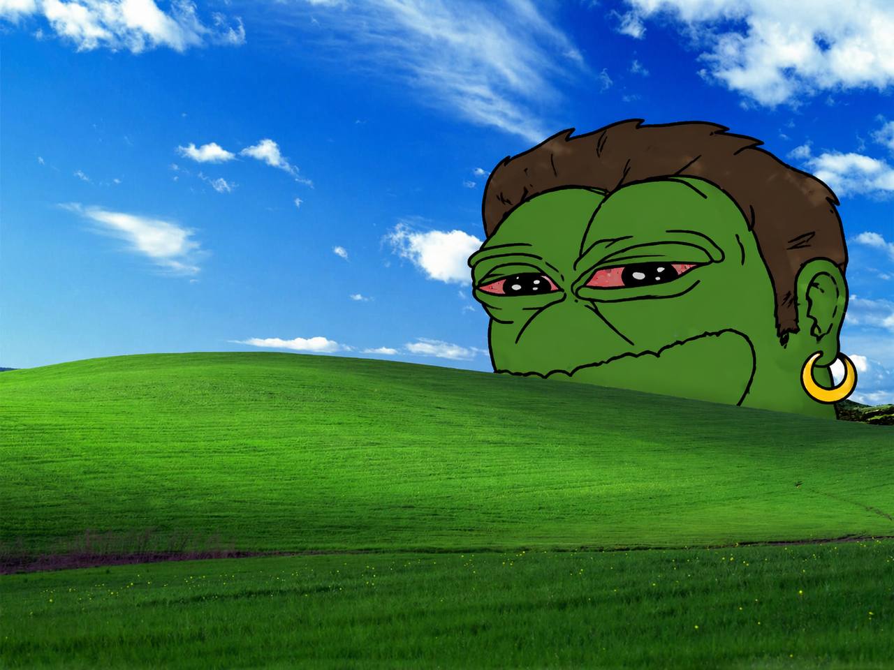 RHPEPE Meme 14